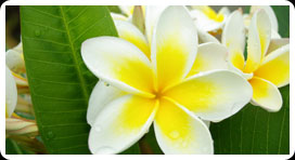 retour affection_big3