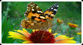 retour affection_big4